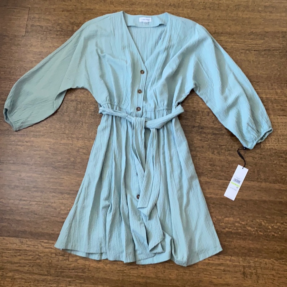 Mint Button Up Calvin Klein Dress